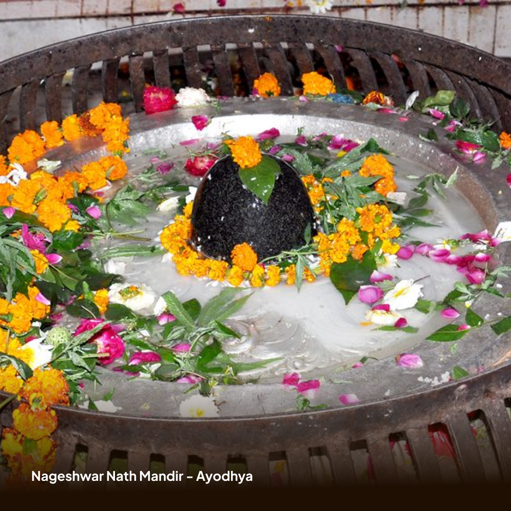 Complete Ayodhya Darshan