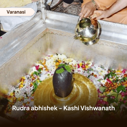 Rudra abhishek - Kashi Vishwanath (Per Person)